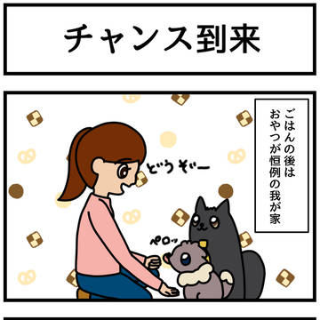 「チャンス到来」