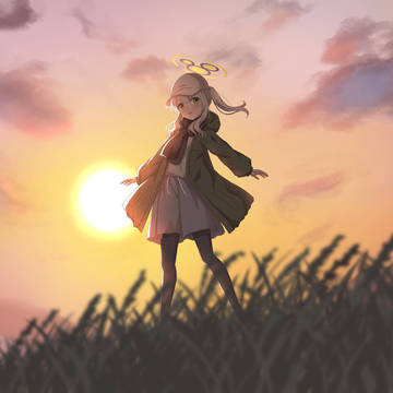 ハレの日の夕日