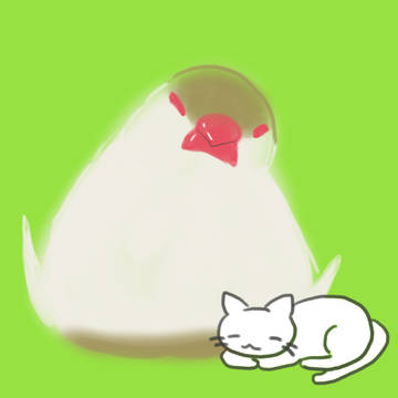 鳥とねこ