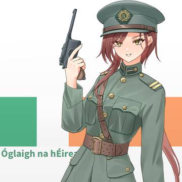 Irish National Defence Force