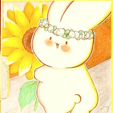 うさぽぽん達の日常　色紙まとめ