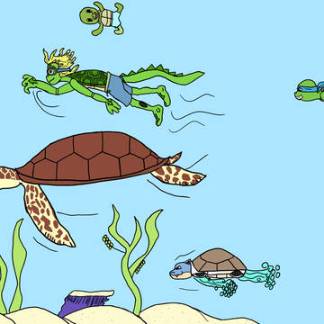 Happy World Turtle day 2026