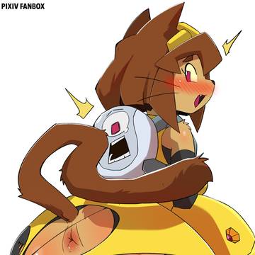 Kit