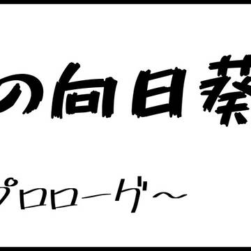 君はキザな怪盗紳士11※キッド夢