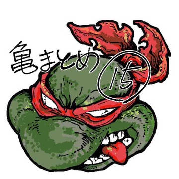 亀まとめごちゃごちゃ15