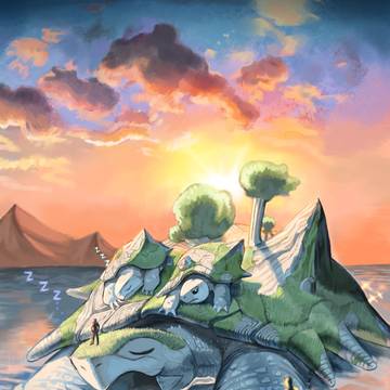 🐢🐢