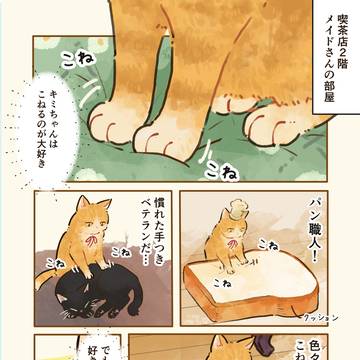 モーニングプレートの完成！🐈🍞