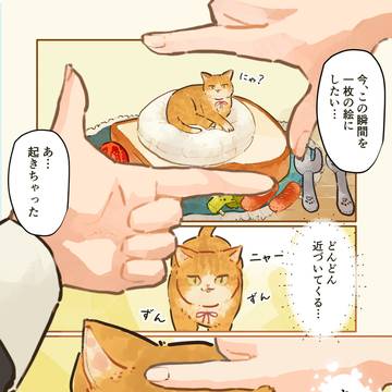 Page 4 thumbnail