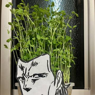 豆苗化するポルナレフ