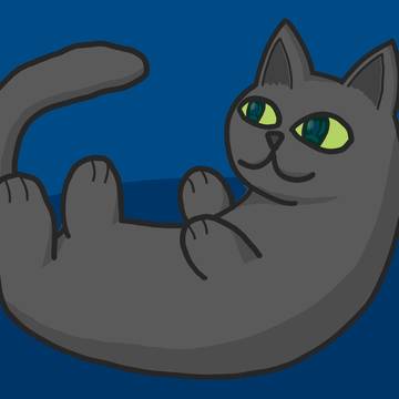 仰向けの黒猫