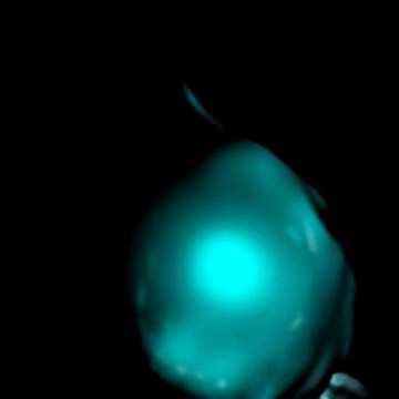 真—仮面ライダーBLACK