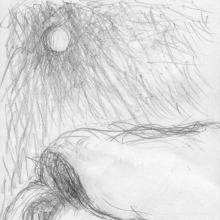 260525woman