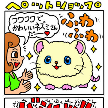ペットショップ