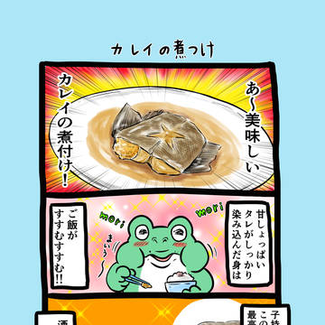 急に来てすぐカエル(381)