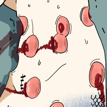 ダルマザメに襲われる人魚