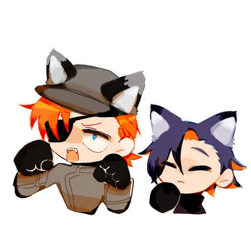 12股詰め🐾🐾