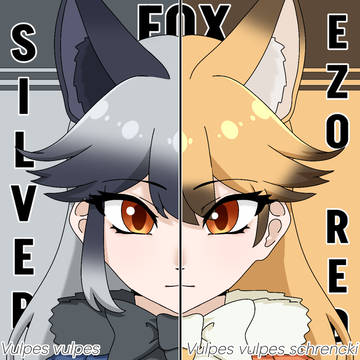 Silver Fox & Ezo Red Fox