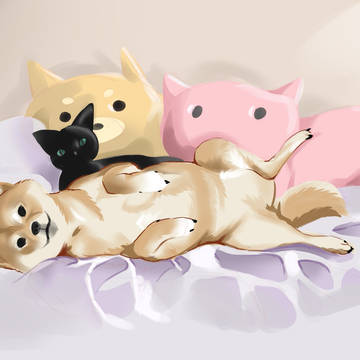 friend's shiba and cat