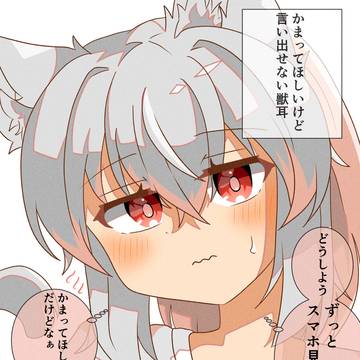 定期的にかまってあげよう