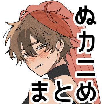 ぬかにまとめ