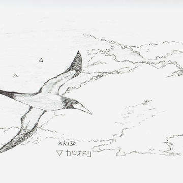 最近の鳥イラストまとめ