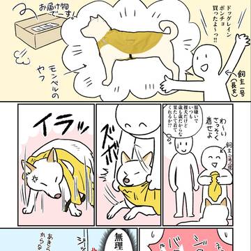 解ってた・・・