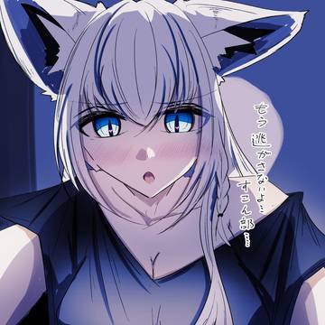 夜這いフブちゃん