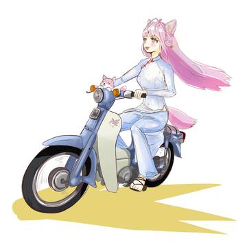 こんこよカブ！