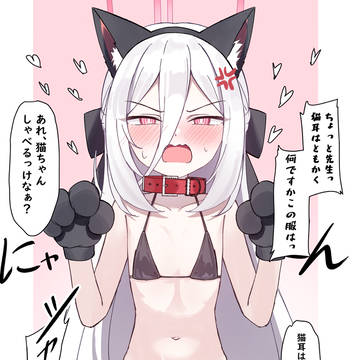 ケイにゃん