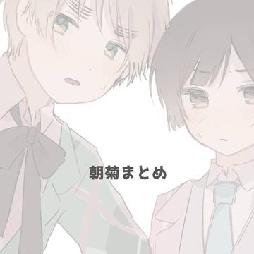 最近の朝菊絵