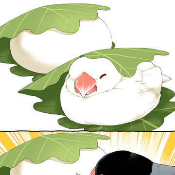ちゃうてー!