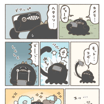 写真撮影