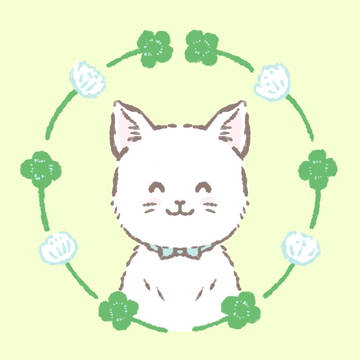 笑顔の白猫
