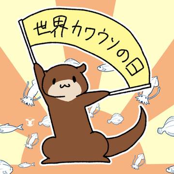 今日は