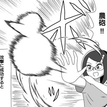 アイガモ農砲