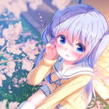 桜チノちゃん🌸