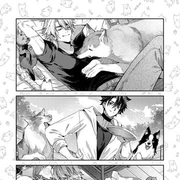 Page 11 thumbnail