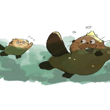 🦫🦎🐻🪵🤼‍♂️💖まとめ