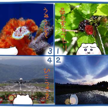 五月のしゃしん