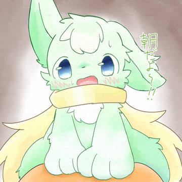 おきて！