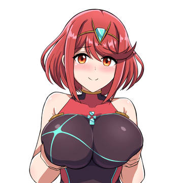 Pyra's "Pro Controller"