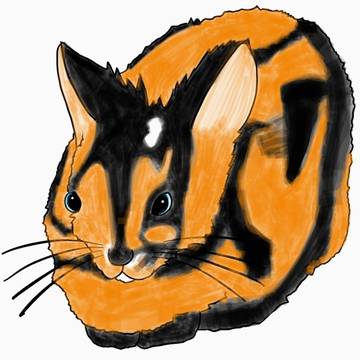 Sumatran Striped Rabbit