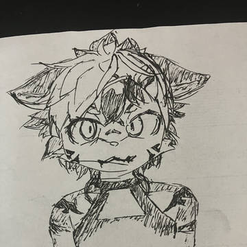 たれみみティグリア