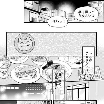 Page 11 thumbnail