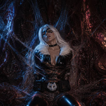 Black Cat - Webbed & Poisoned