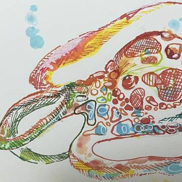 タコ