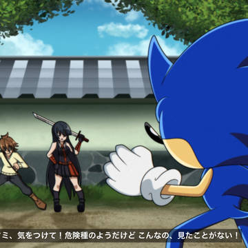 ソニックX × アカメが斬る！