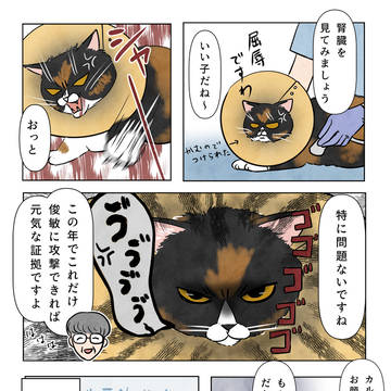 Page 2 thumbnail