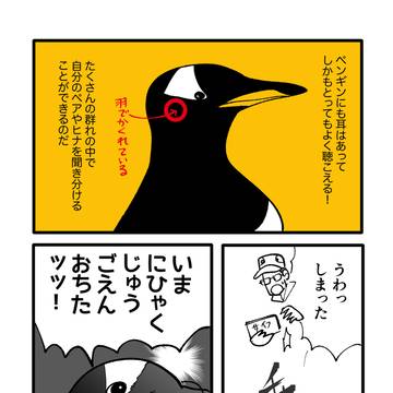 Page 5 thumbnail