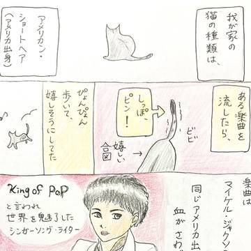 アメリカだから?